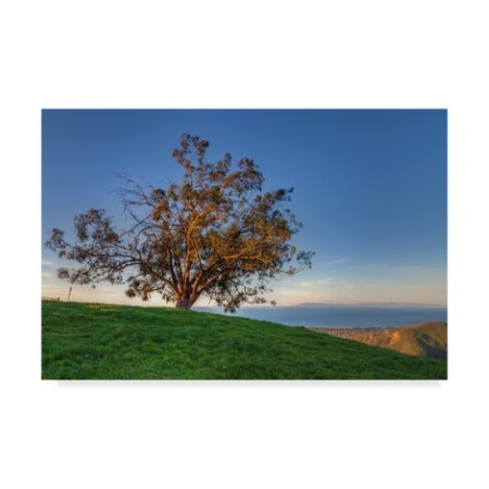 Trademark Fine Art Chris Moyer 'Island View' Canvas Art, 16x24 ALI41367-C1624GG